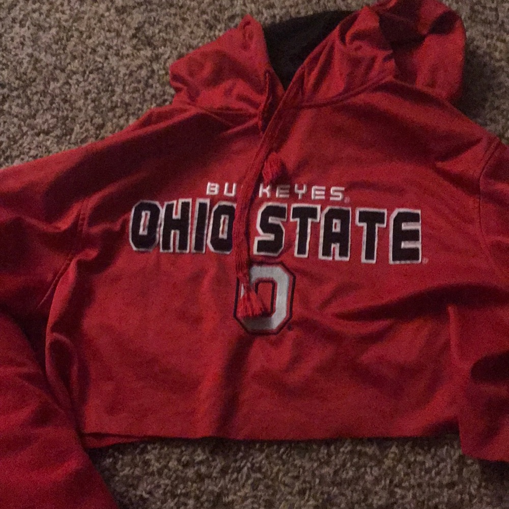Ohio State cropped hoodie